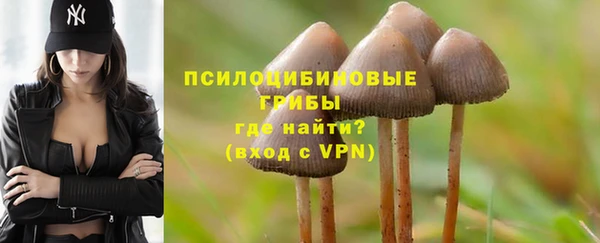 герыч Балахна