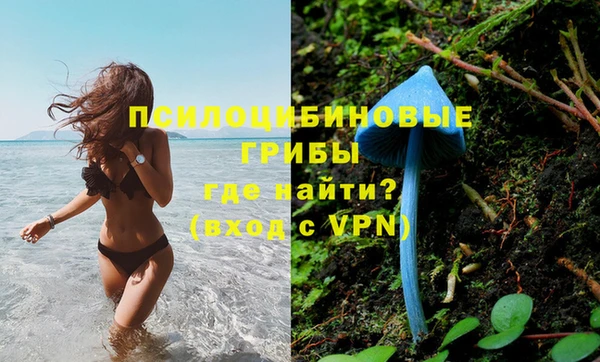 герыч Балахна